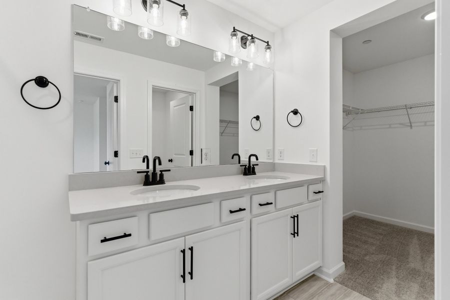 Owner's Bath