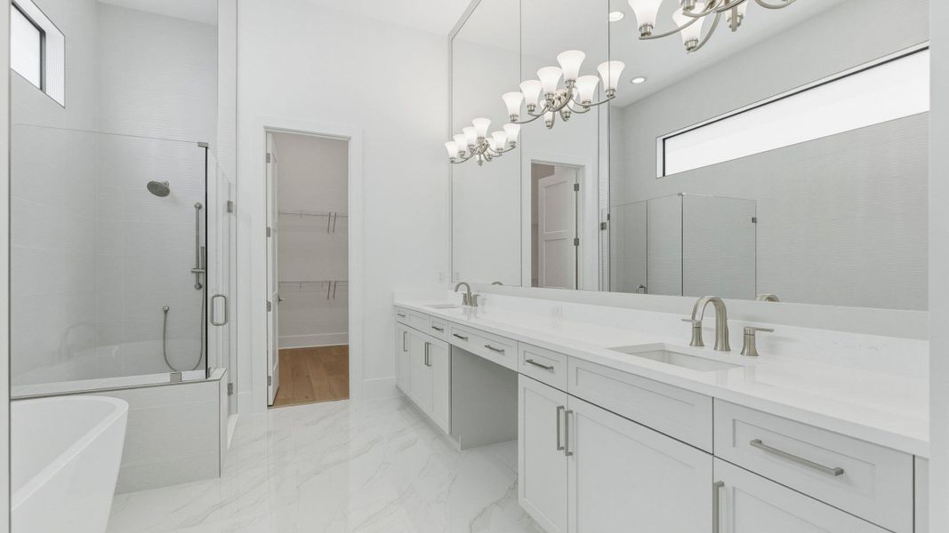 Owner's Bath