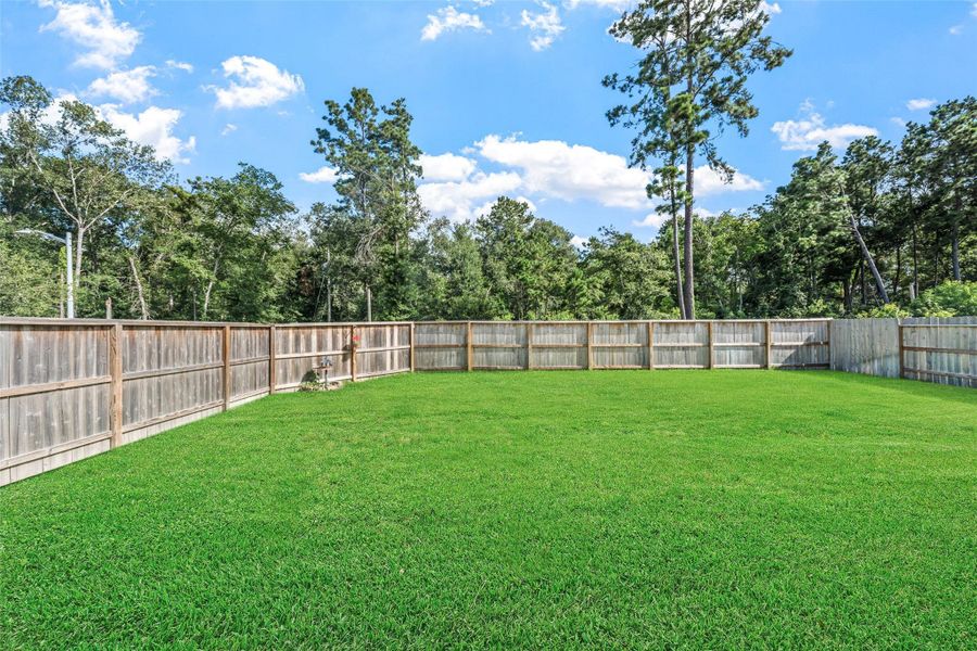 Exterior details and patio area of a home in Pinewood at Grand Texas, New Caney (Image 3).