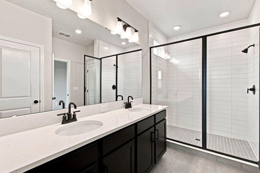 Owner's Bath