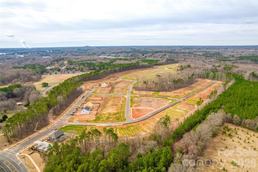 Site preparation for new homesites in Michaux Gardens, Belmont (Image 36).