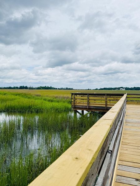 Natural landscape and outdoor views near in Charleston (Image 37). Natural landscape and outdoor views near in Charleston (Image 37).