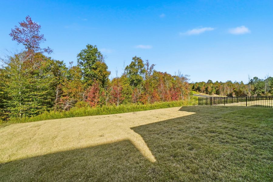 Natural landscape and outdoor views near The Meadows at Laurelbrook in Sherrills Ford (Image 41).