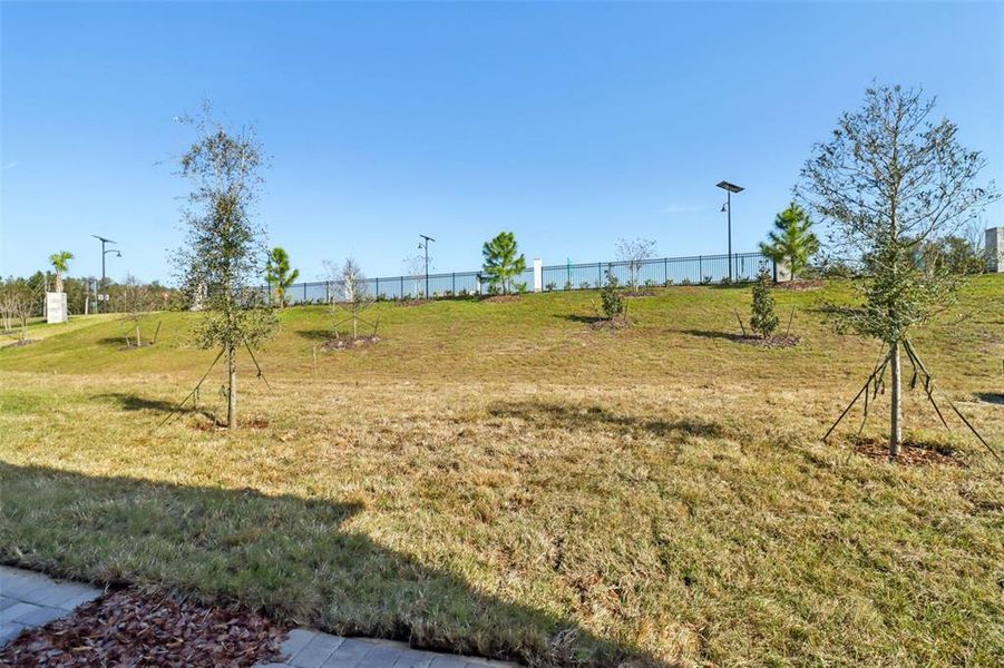 Natural landscape and outdoor views near The Reserve at Hammock Oaks Townes in Lady Lake (Image 31).