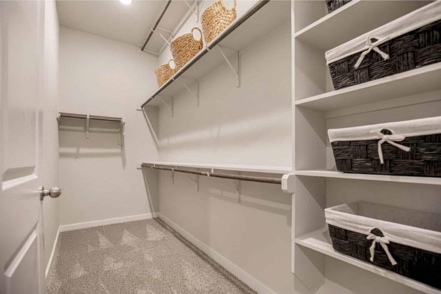 Walk in closet with light carpet