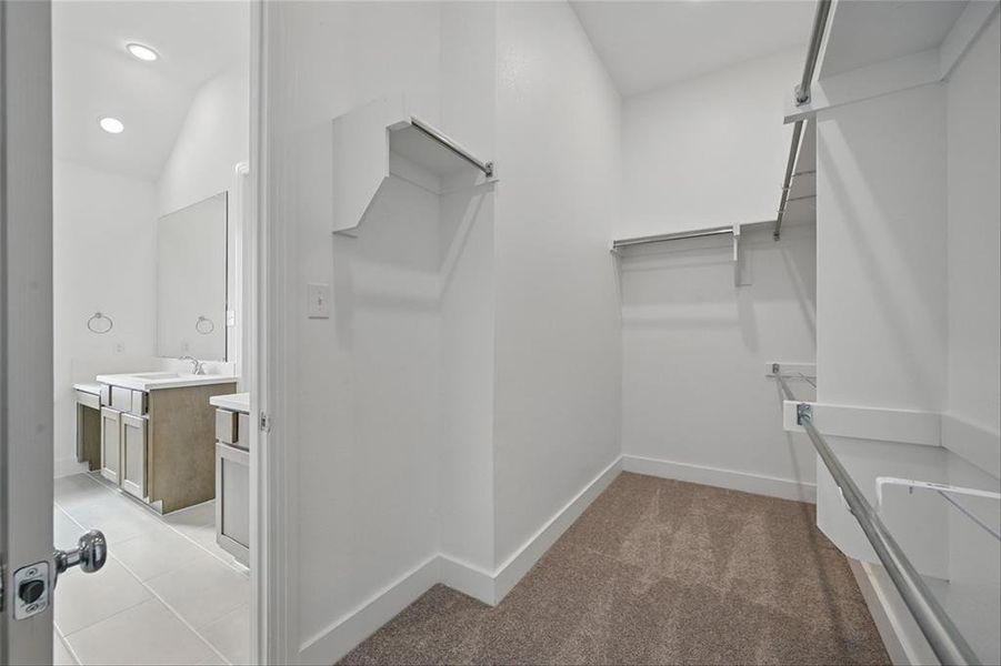 4289SantuaryROYCA016