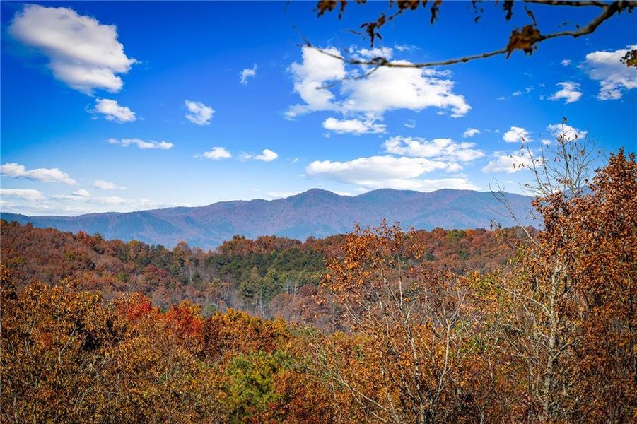 Natural landscape and outdoor views near  in Blue Ridge (Image 45).