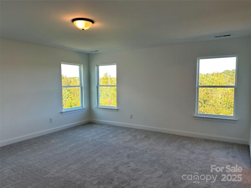 Actual photo of homesite 52