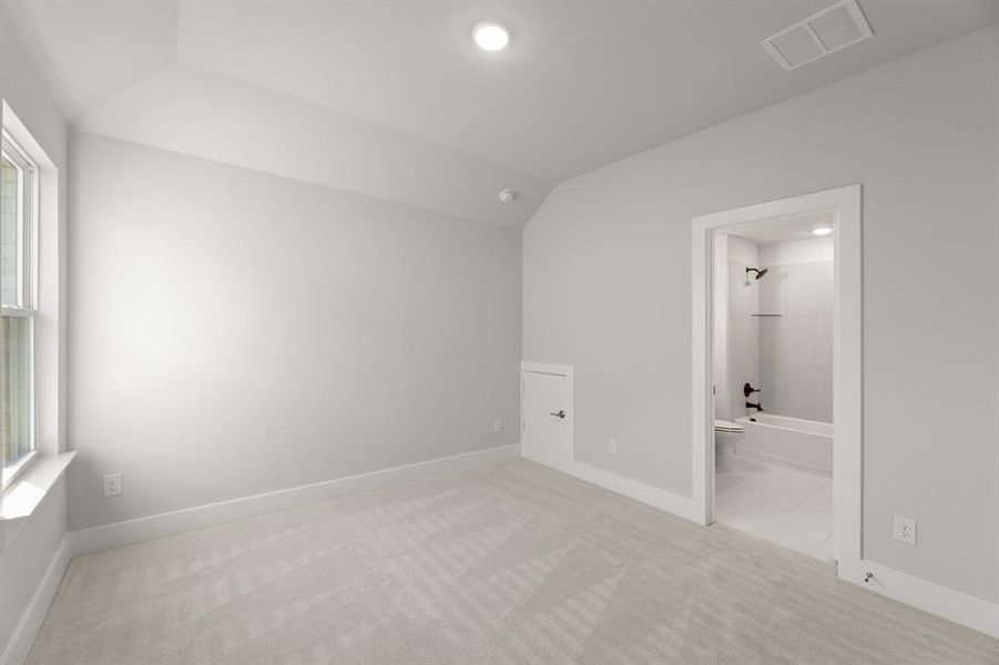 23. 500 Blue Yucca - Bed 4