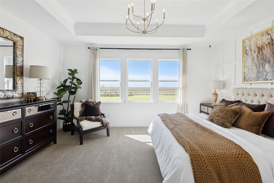 Spacious primary bedroom (*Photo not of actual home and used for illustration purposes only.)