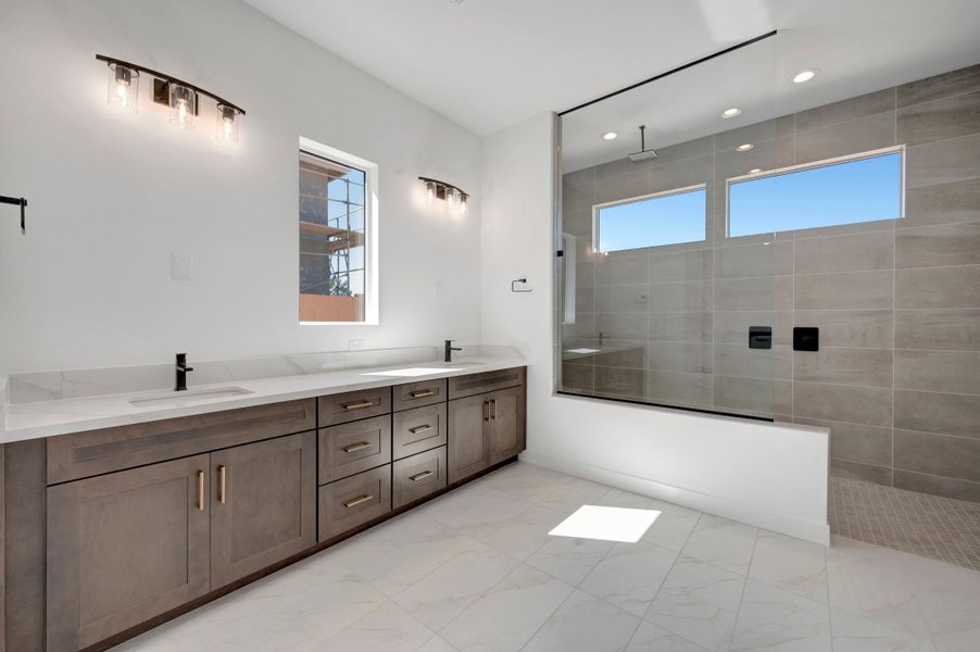 Owner's Bath