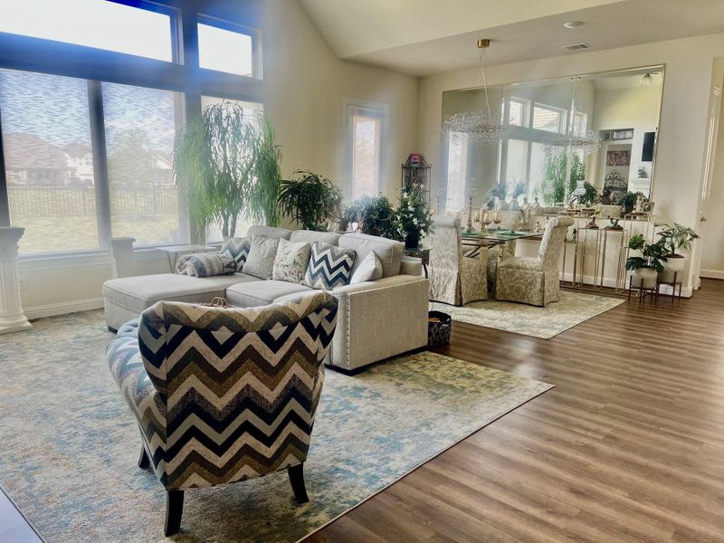 Family Room