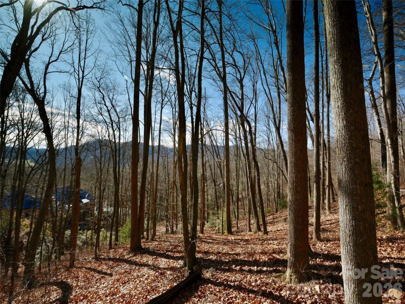 Natural landscape and outdoor views near in Arden (Image 14). Natural landscape and outdoor views near in Arden (Image 14).