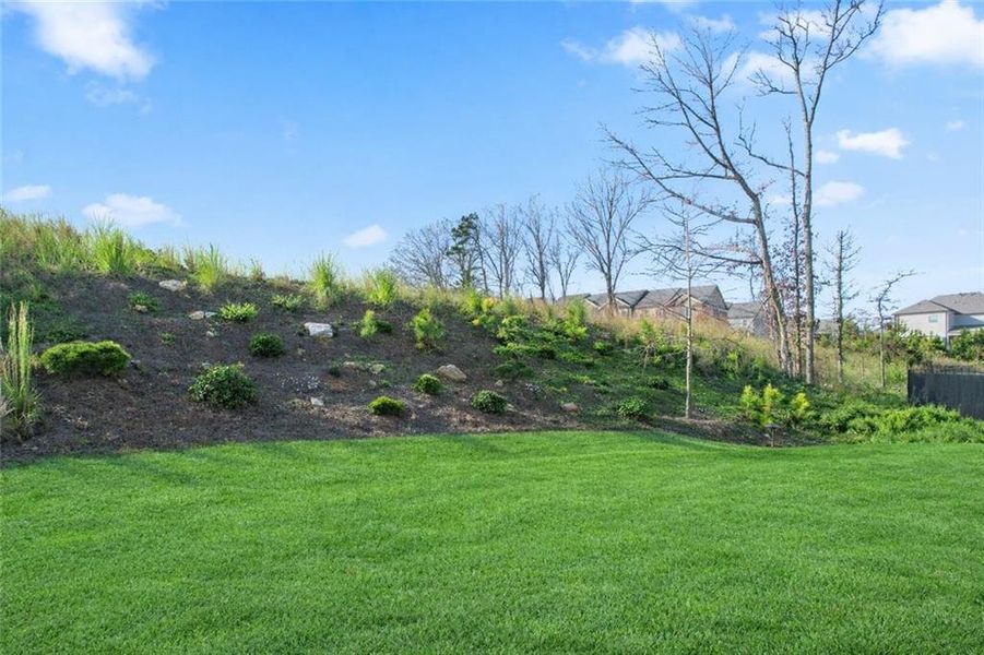 Natural landscape and outdoor views near Courtyards at Traditions in Cumming (Image 32).
