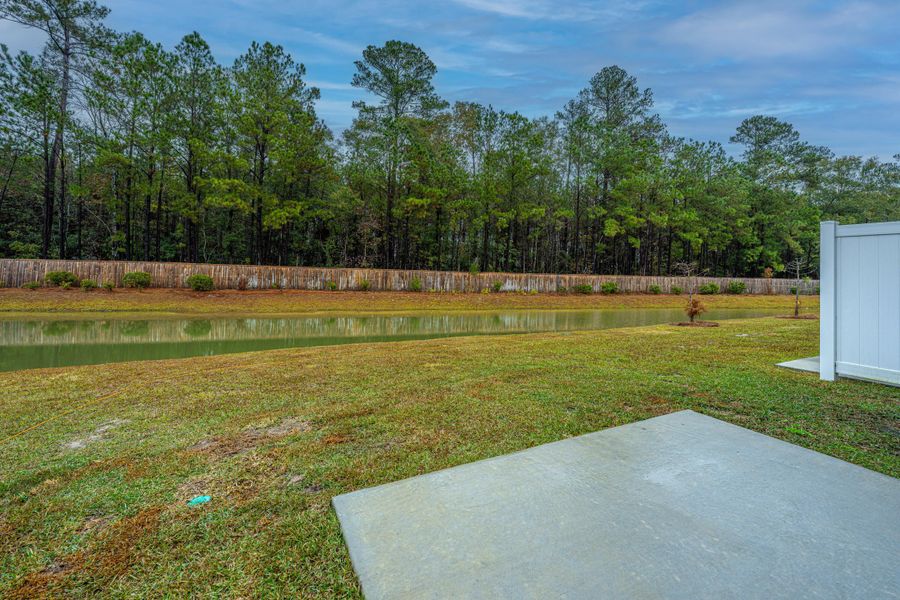 Natural landscape and outdoor views near Dawson Branch in Summerville (Image 24).