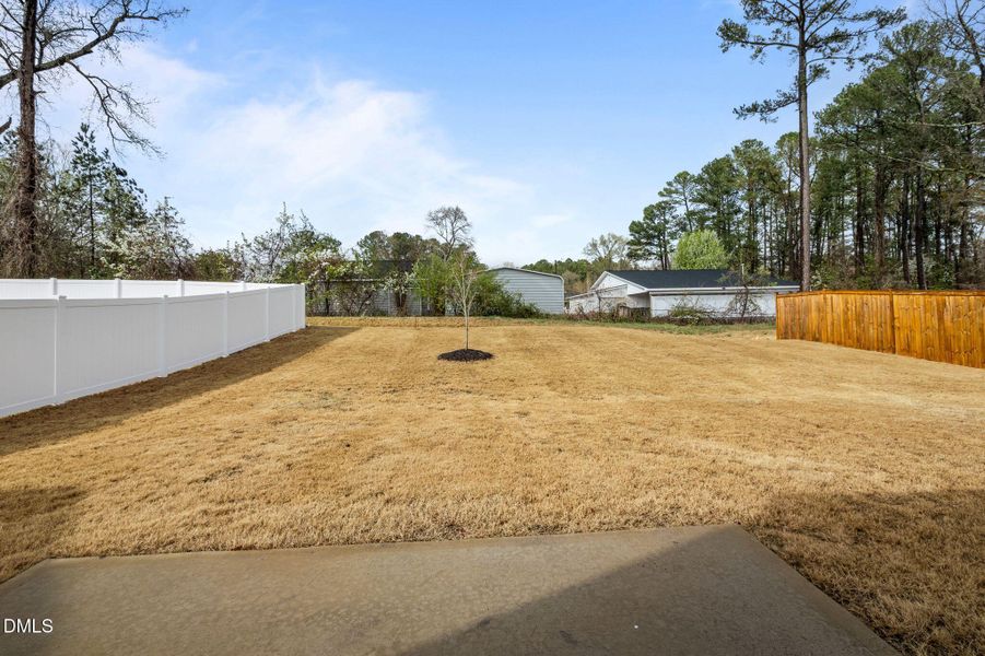 55-web-or-mls-P1110739