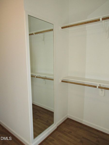 Primary closet