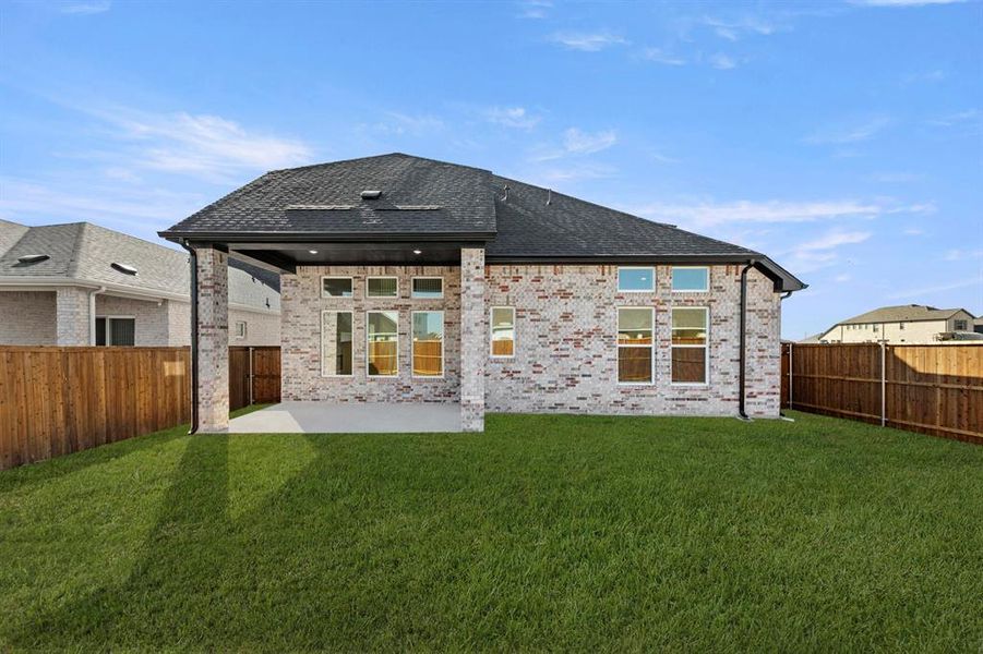 25_26. 1617 Yorkie - Back