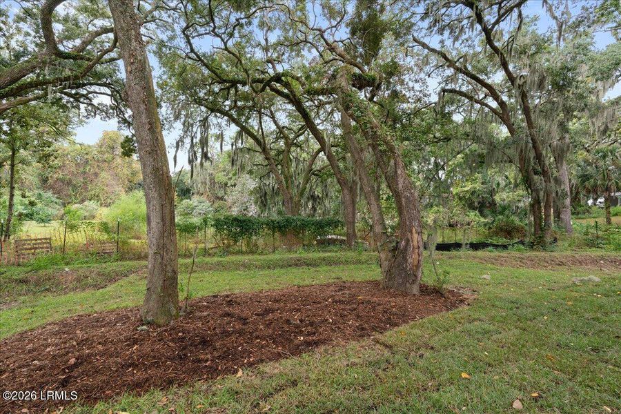 Natural landscape and outdoor views near  in Beaufort (Image 89).