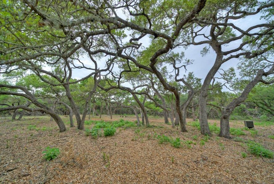 Natural landscape and outdoor views near in Austin (Image 17). Natural landscape and outdoor views near in Austin (Image 17).