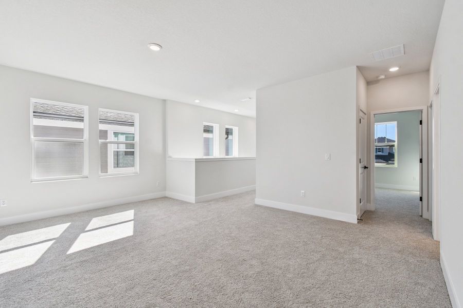 The Sneed - Bonus The Sneed - Bonus