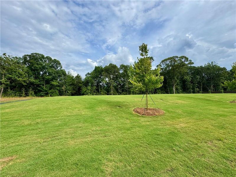 Natural landscape and outdoor views near Eastlyn Crossing in Flowery Branch (Image 15).