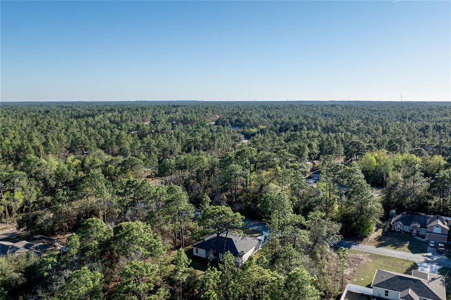 Natural landscape and outdoor views near  in Citrus Springs (Image 38).