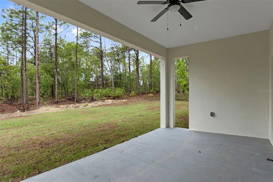Exterior details and patio area of a home in , Citrus Springs (Image 19).