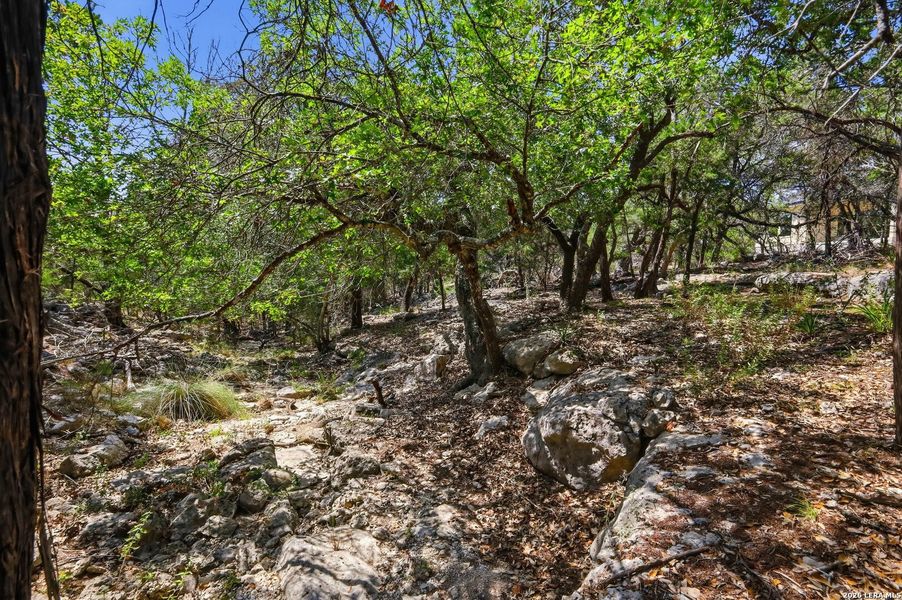 Natural landscape and outdoor views near in Fischer (Image 44). Natural landscape and outdoor views near in Fischer (Image 44).