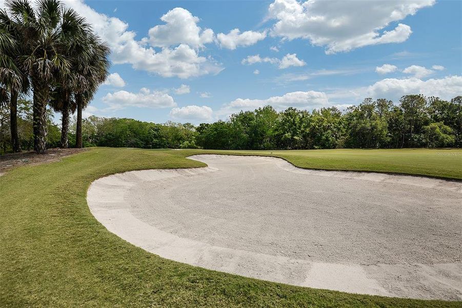 Natural landscape and outdoor views near  in Fort Myers (Image 34).