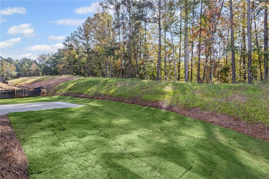 Exterior details and patio area of a home in Sage Woods, Dallas (Image 4).