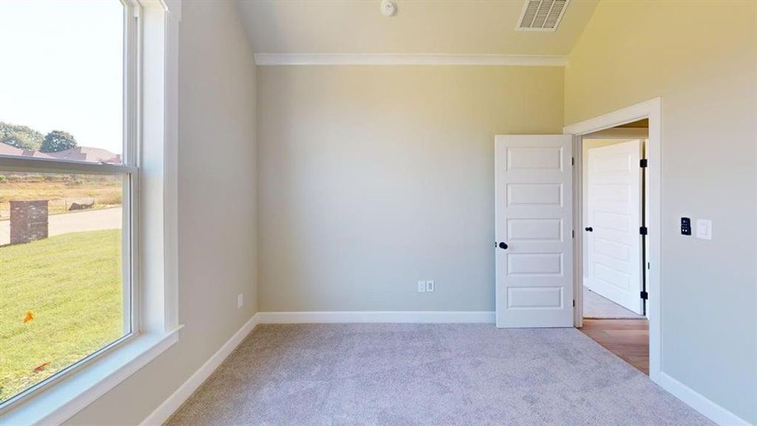 Carpeted spare room featuring crown molding, baseboards, and lofted ceiling