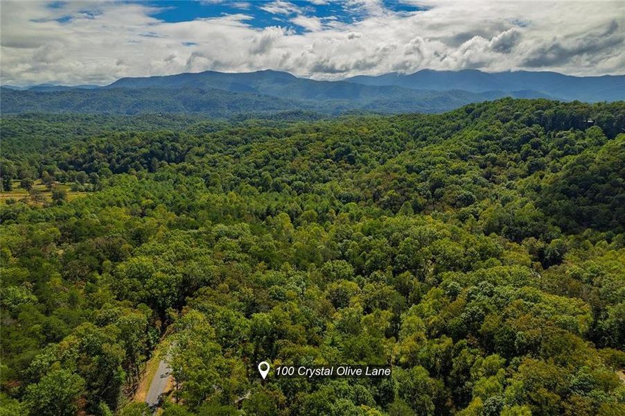 Natural landscape and outdoor views near  in Cherry Log (Image 26).