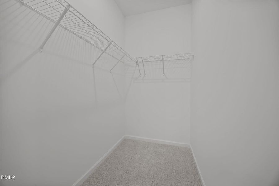 13-web-or-mls-6S8A6855