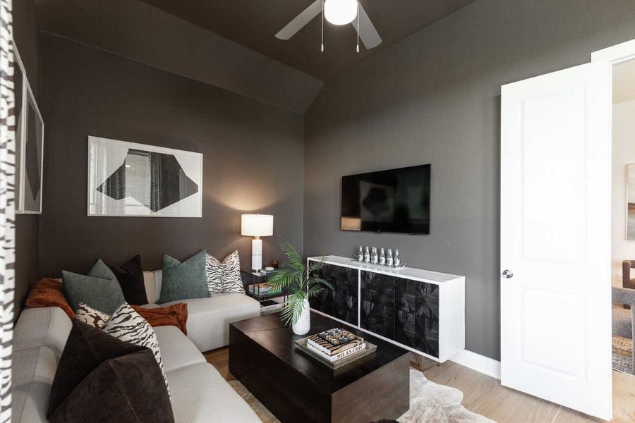 Representative Entertainment Room - some options shown Representative Entertainment Room - some options shown