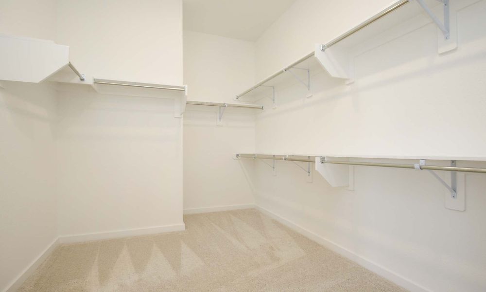 Representative Primary Closet - some options shown
