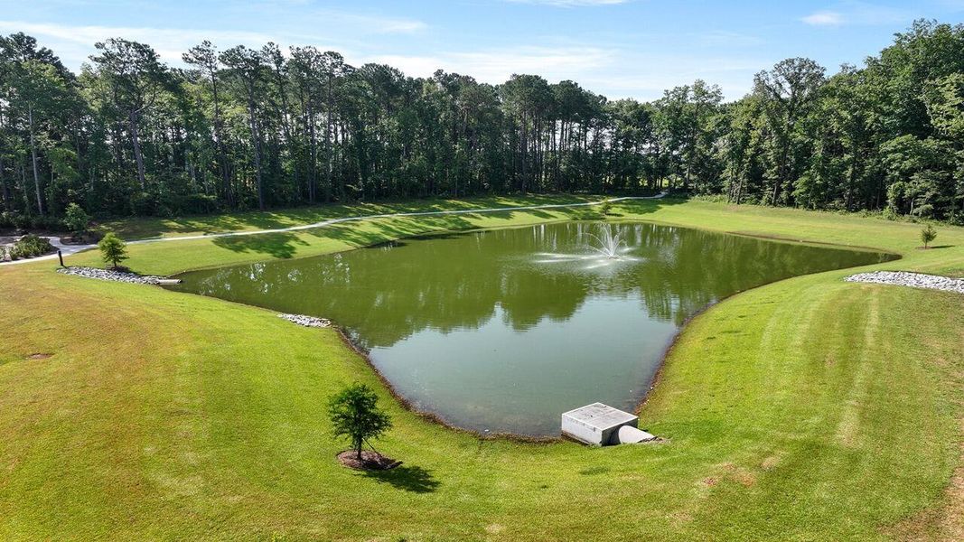 Natural landscape and outdoor views near Carolina Groves in Moncks Corner (Image 38). Natural landscape and outdoor views near Carolina Groves in Moncks Corner (Image 38).