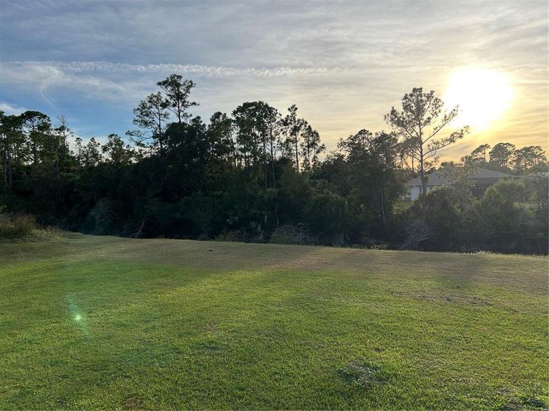 Natural landscape and outdoor views near  in North Port (Image 41).