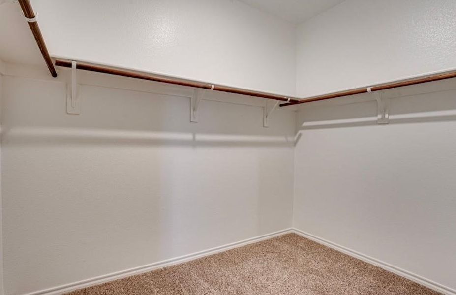 Walk-in closet featuring light-colored walls and brown carpet flooring Walk-in closet featuring light-colored walls and brown carpet flooring