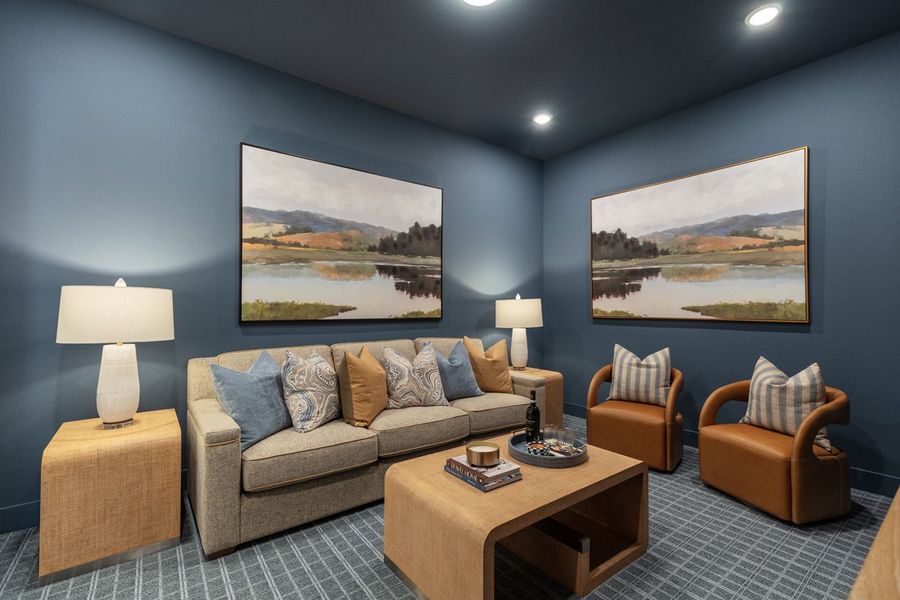 Representative Entertainment Room - some options shown Representative Entertainment Room - some options shown