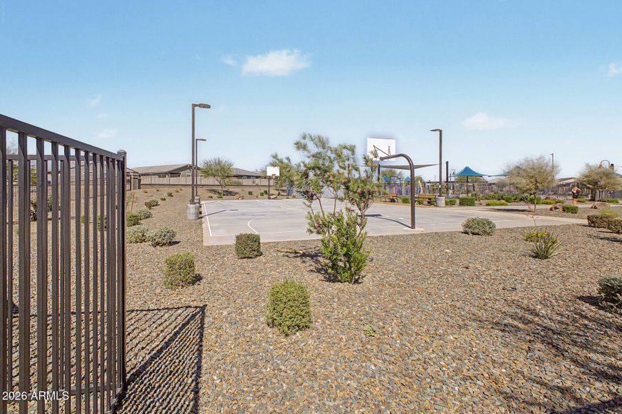 49 - Desert Hollow 16014 49 - Desert Hollow 16014