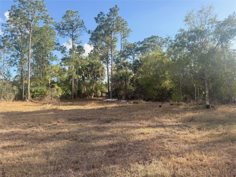 Natural landscape and outdoor views near  in Clewiston (Image 10).