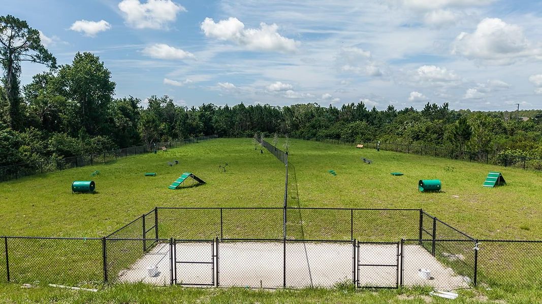 Community amenities in Ardisia Park, New Smyrna Beach (Image 17).