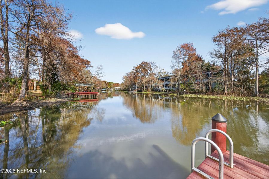 Natural landscape and outdoor views near  in Jacksonville (Image 64).