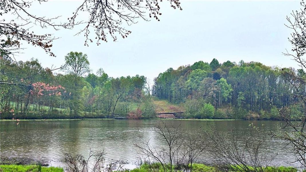 Natural landscape and outdoor views near Conner Farm in Dawsonville (Image 27). Natural landscape and outdoor views near Conner Farm in Dawsonville (Image 27).