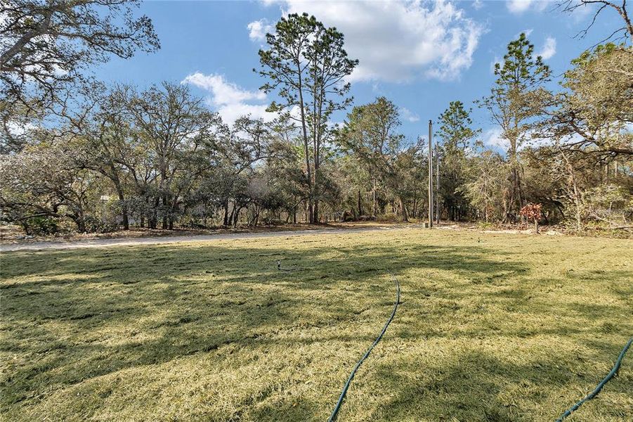 Natural landscape and outdoor views near  in Dunnellon (Image 39).