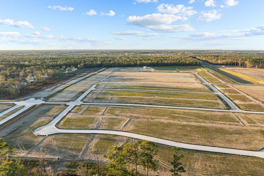 Image 40 of a home in Indian Springs.