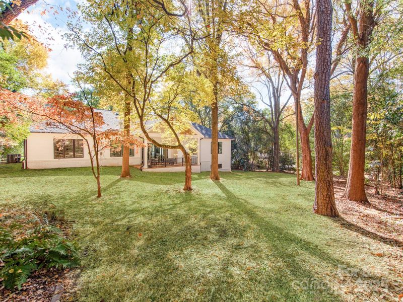 Natural landscape and outdoor views near  in Charlotte (Image 42).