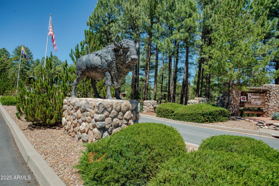 Bison Ridge Luxury Twin Homes