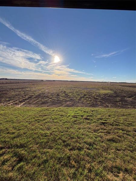 Natural landscape and outdoor views near  in Waxahachie (Image 37).